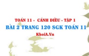 Bài 2 trang 120 SGK Toán 11 tập 1 Cánh Diều